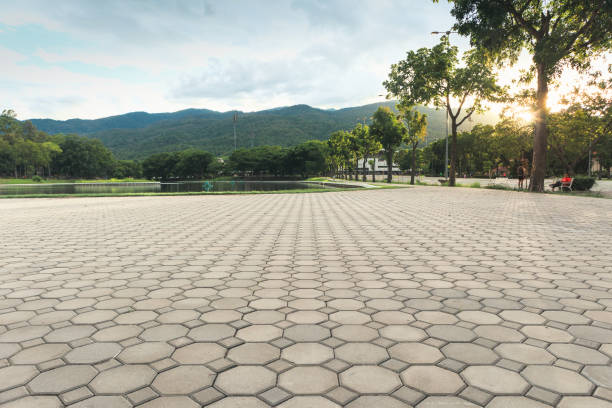 Best Best Driveway Pavers  in Berkshire Lakes, FL